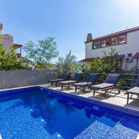 Gunes * كالكان