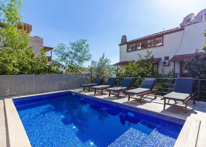 Gunes * كالكان